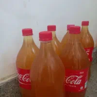 سرکه سیبب