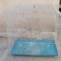 قفس پرنده