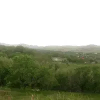 زمین ،رزجرد (کوچه رُز )