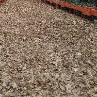 سیم کارت 63 36 36 8 0936