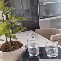 لیوان مدل ایملی