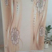 پرده دومکانیزم زبرا