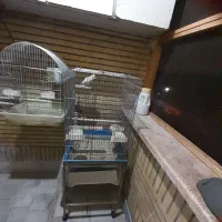 قفس پرنده