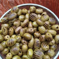 سیرترشی و زیتون و روغن زیتون طارم