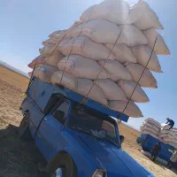 خرید فروش کاه گندم کاه لوبیا کاه عدس نخود