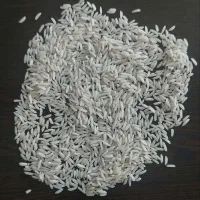 فروش ویژه برنج ایرانی، فقط مخصوص موکب ها و هیئت ها