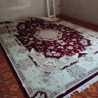 قالی|فرش|ایرانشهر, |دیوار