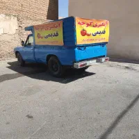 آبگیری گوجه