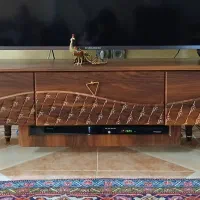 زیر تلوزیون کاملا سالم ونو