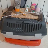 وسایل شخصی گربه