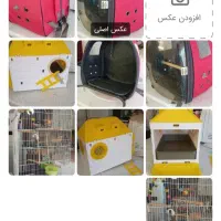 لوازم جانبی پرنده یا گربه
