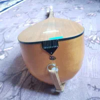 چگور خوش صدا و خوش دست