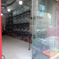 پرنده سرای اسکار  عروس هلندی گرینچیک راهب مرغ عشق