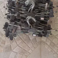 رگال