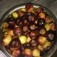 انجیرسیاه