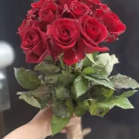 گل رز طبیعی