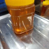 عسل مرغوب|خوردنی و آشامیدنی|پلدشت, |دیوار