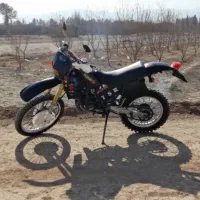 تی اس ار