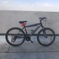 دوچرخه درحد جاینت