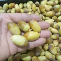 خارک برحی و رطب