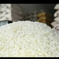 برنج -نیم کیلو برنج چمپا جهت تست رایگان