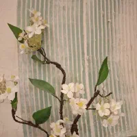 دستیار اکستنشن