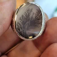 شجر یمنی رکاب نقره
