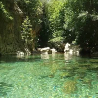 طبیعت گردی