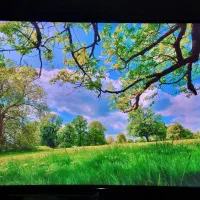 تلویزیون سامسونگ 55اینچ