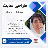 طراحی سایت وسئوسایت شرکتی وفروشگاهی( تضمینی )