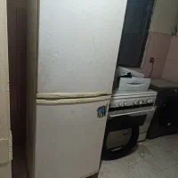 یخچال در حد نوع