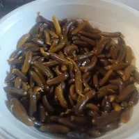 خیارشور