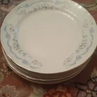 پیشدستی ۶ عدد دونه ای ۲۰۰