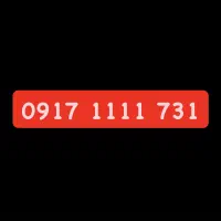 09171111731