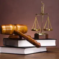 تنظیم لایحه، شکایت، دادخواست