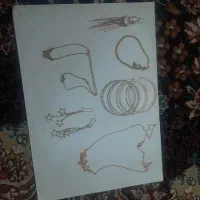 بدلیجات