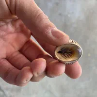 انگشتر شجر