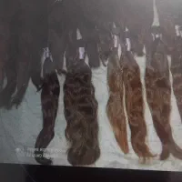 خریدوفروش مو