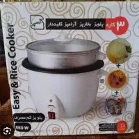 پلوپز ۱۲ نفره اگرین