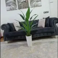 گل مصنوعی|گل مصنوعی|نورآباد, |دیوار