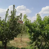 زمین-ویلایی-باغی-قطعات-300متری-آبسرد-زان