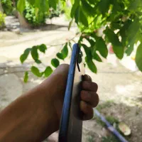 Not 12 pro|موبایل|یاسوج, |دیوار
