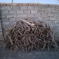 هیزم