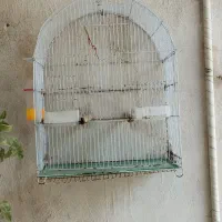 قفس بزرگ مرغ مینا با وسایل