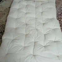 تشک پشمی