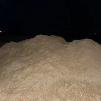 کاه جو  به مقدار زیاد ۳ تن