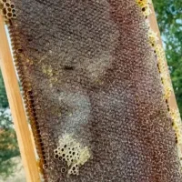 عسل صددرصد طبیعی وخالص سبلان اردبیل