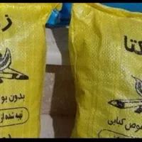 کارگر خانم