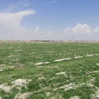 فروش زمین کشاورزی کوشک بیدک|فروش زمین و ملک کلنگی|شیراز, کوشک بیدک|دیوار