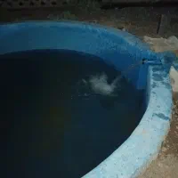 باغ فروشی